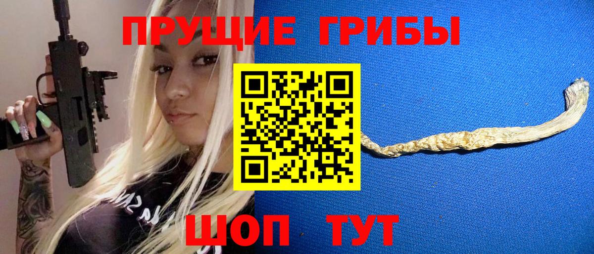 Галлюциногенные грибы GOLDEN TEACHER Лесной
