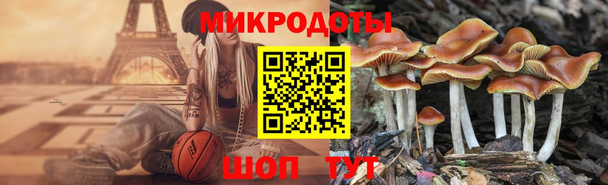 Лесной  Галлюциногенные грибы мухоморы  Галлюциногенные грибы GOLDEN TEACHER  Вход с VPN 